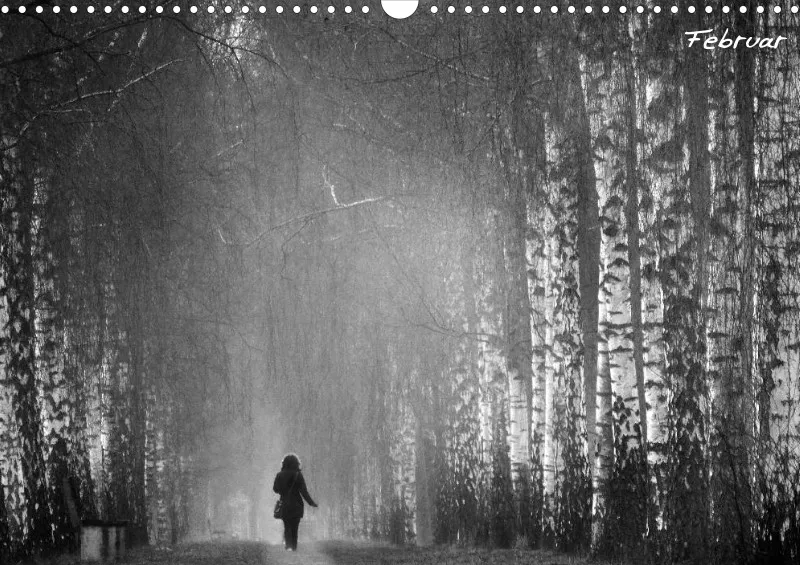 Bildkalender/ Birkenallee / A3