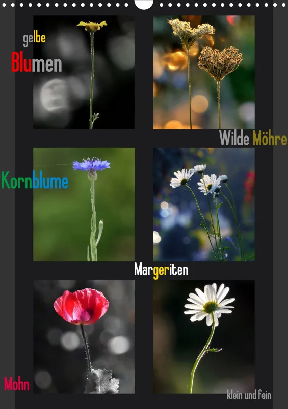 Fotokalender / Blumen