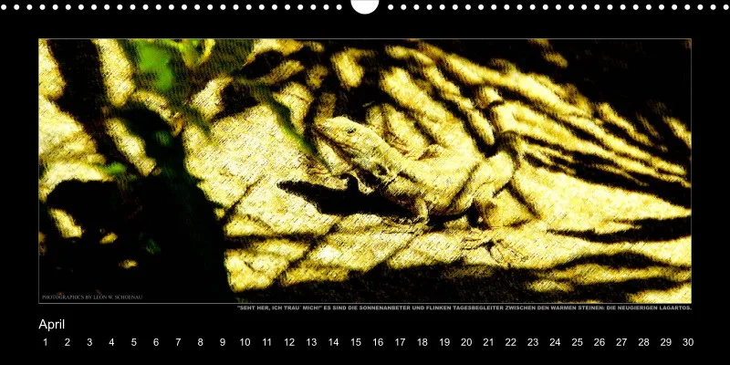 NR.5_D_LA PALMA_TRAUM UND WIRKLICHKEIT_EDITIONCANARIAS-KALENDER_IMMERWÄHREND_DEUTSCHE AUSGABE