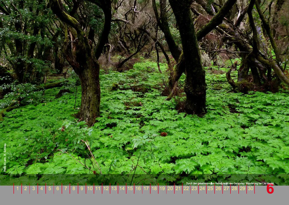NR.19_D_EDCAN_WANDKALENDER_LA GOMERA - immerwährend_DEUTSCHE VERSION