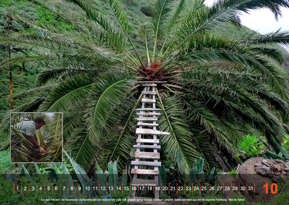 NR.19_D_EDCAN_WANDKALENDER_LA GOMERA - immerwährend_DEUTSCHE VERSION