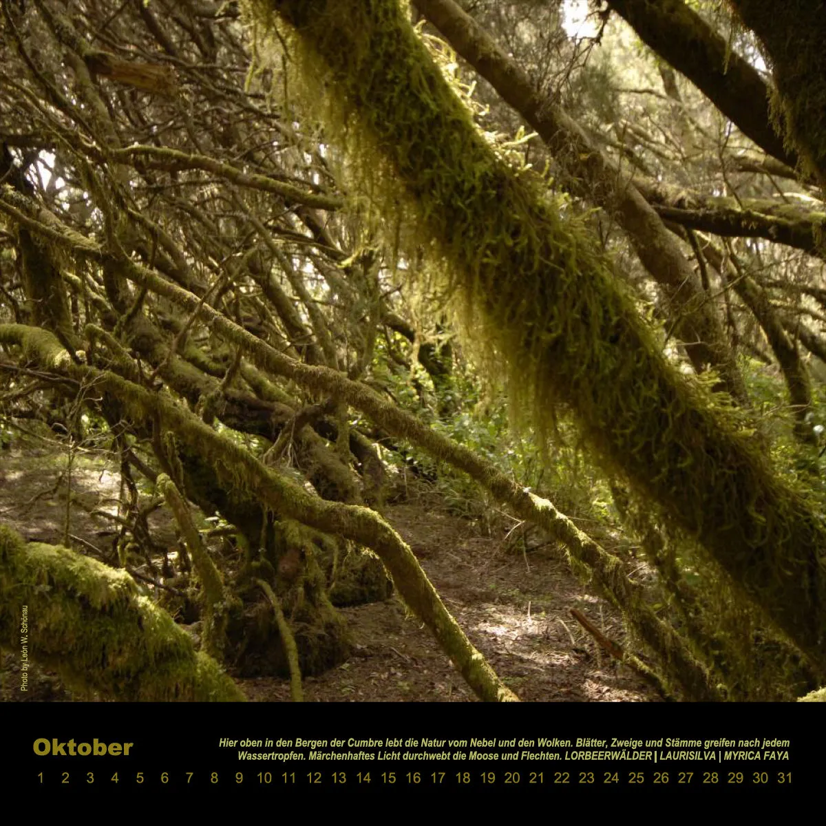 NR.8_D_EL HIERRO_ IMMERWÄHREND_PERMANENTE_EDITIONCANARIAS_KALENDER