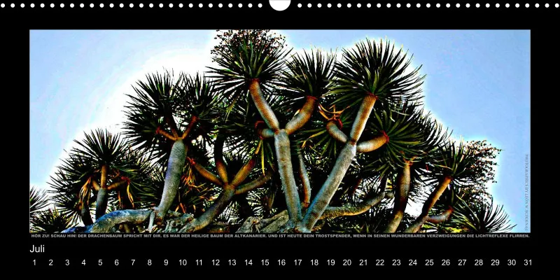 NR.5_D_LA PALMA_TRAUM UND WIRKLICHKEIT_EDITIONCANARIAS-KALENDER_IMMERWÄHREND_DEUTSCHE AUSGABE