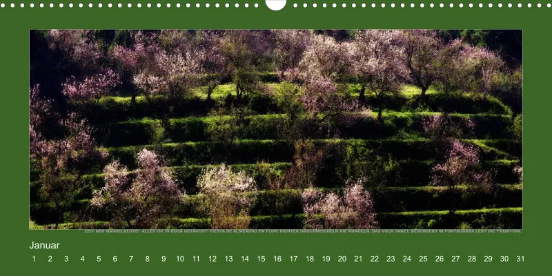 NR.5_D_LA PALMA_TRAUM UND WIRKLICHKEIT_EDITIONCANARIAS-KALENDER_IMMERWÄHREND_DEUTSCHE AUSGABE