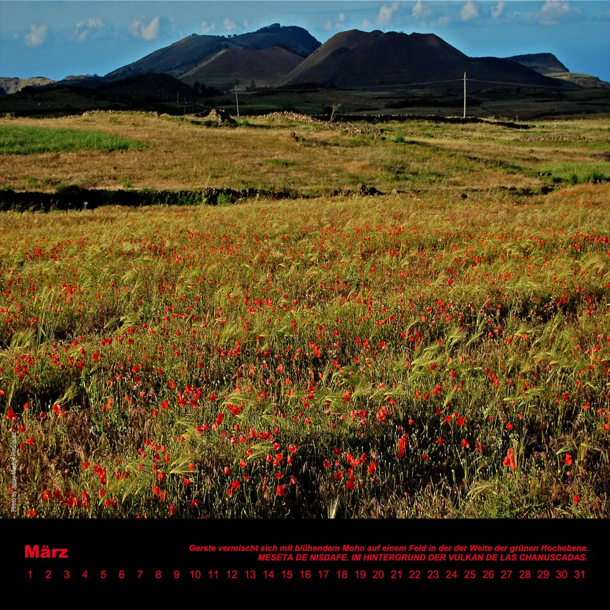 NR.8_D_EL HIERRO_ IMMERWÄHREND_PERMANENTE_EDITIONCANARIAS_KALENDER