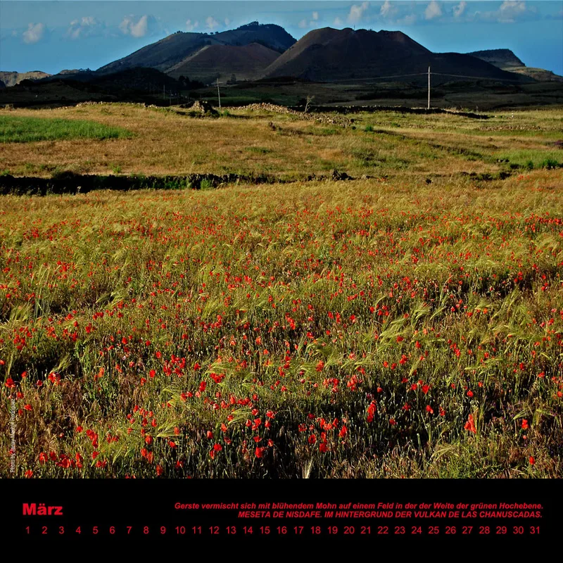 NR.8_D_EL HIERRO_ IMMERWÄHREND_PERMANENTE_EDITIONCANARIAS_KALENDER