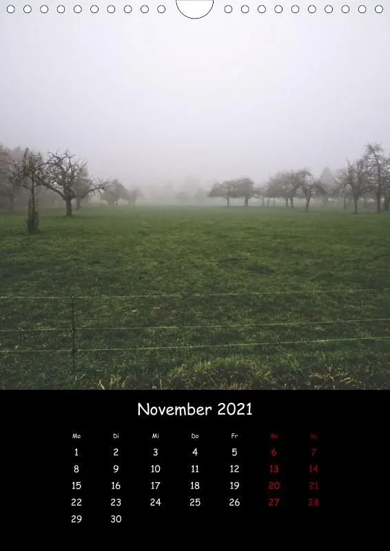 Taunus Im Nebel