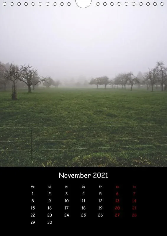 Taunus Im Nebel