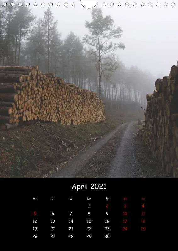 Taunus Im Nebel