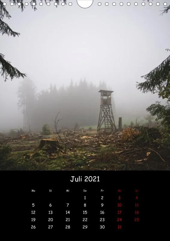 Taunus Im Nebel