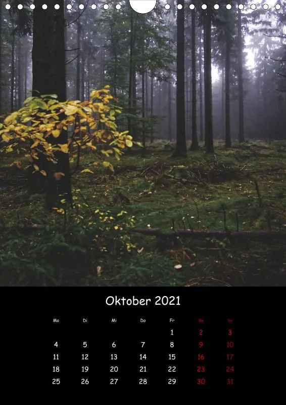 Taunus Im Nebel