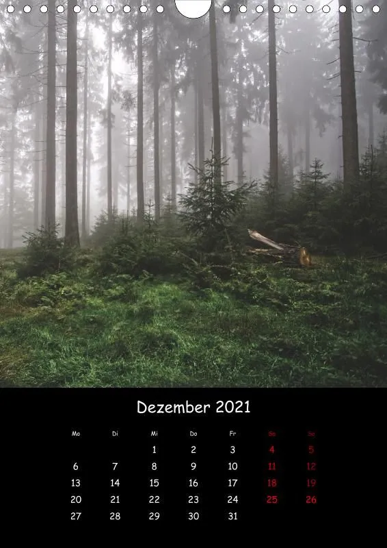 Taunus Im Nebel
