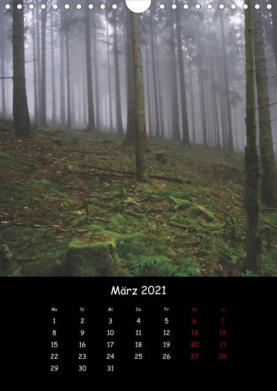 Taunus Im Nebel