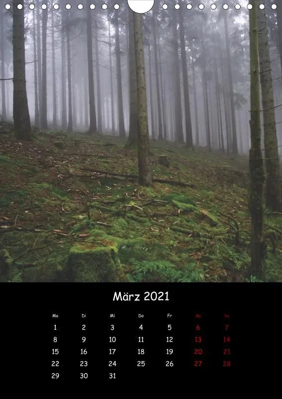 Taunus Im Nebel