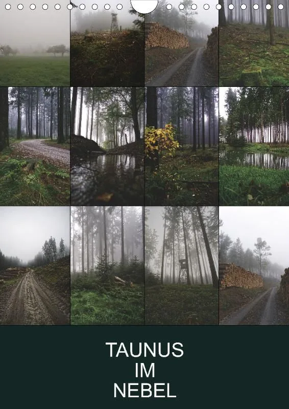 Taunus Im Nebel