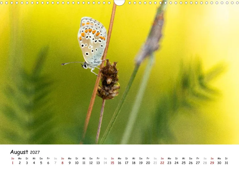 Naturfoto Kalender 2027 (A3)