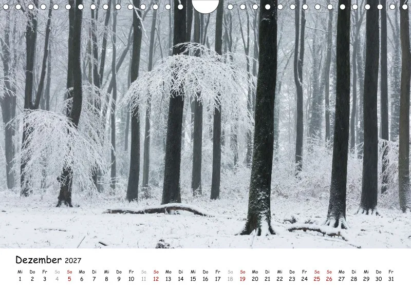 Naturfoto Kalender 2027 (A4)
