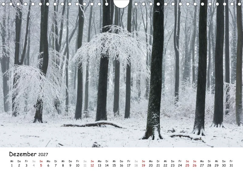 Naturfoto Kalender 2027 (A4)