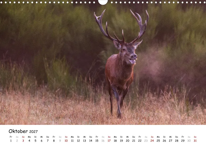 Naturfoto Kalender 2027 (A3)