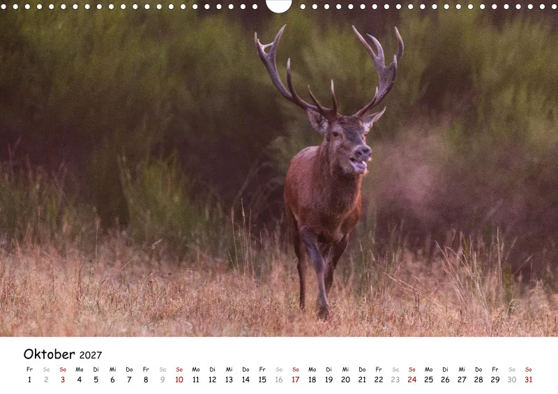Naturfoto Kalender 2027 (A3)