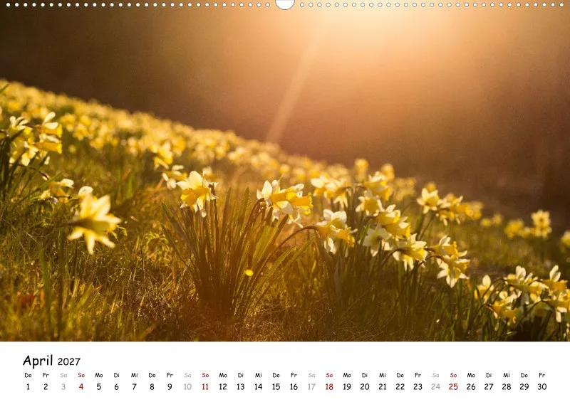 Naturfoto Kalender 2027 (A2)