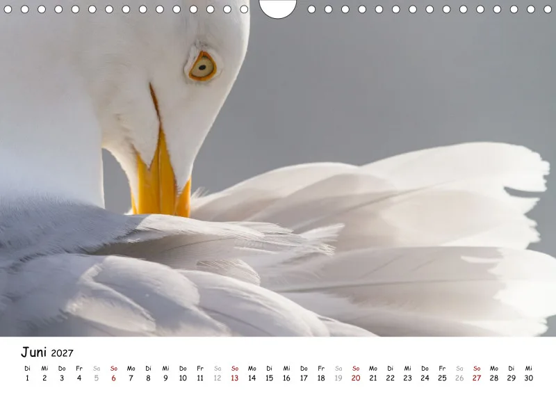 Naturfoto Kalender 2027 (A4)