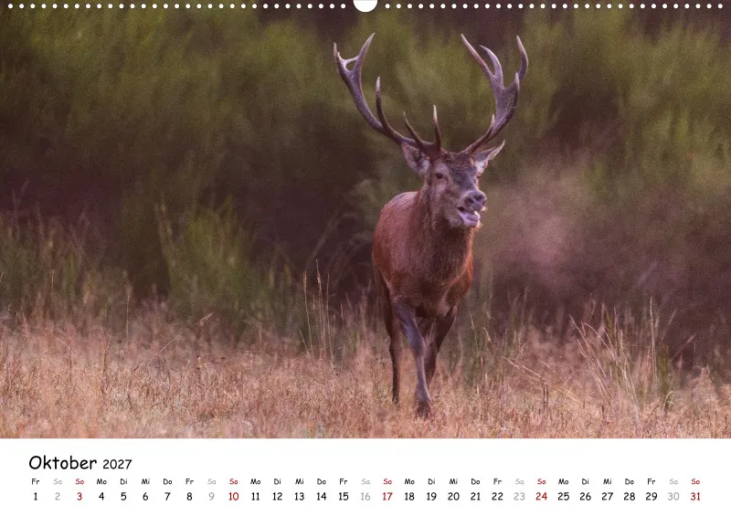 Naturfoto Kalender 2027 (A2)