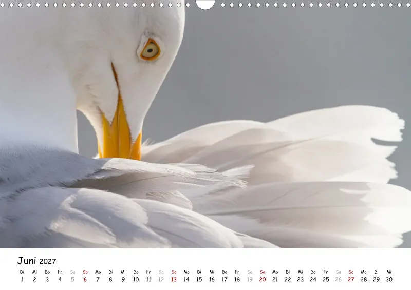 Naturfoto Kalender 2027 (A3)