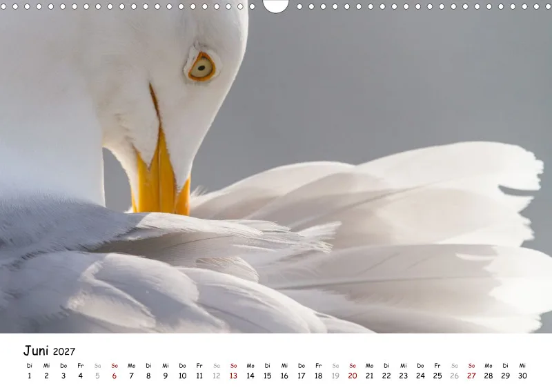 Naturfoto Kalender 2027 (A3)