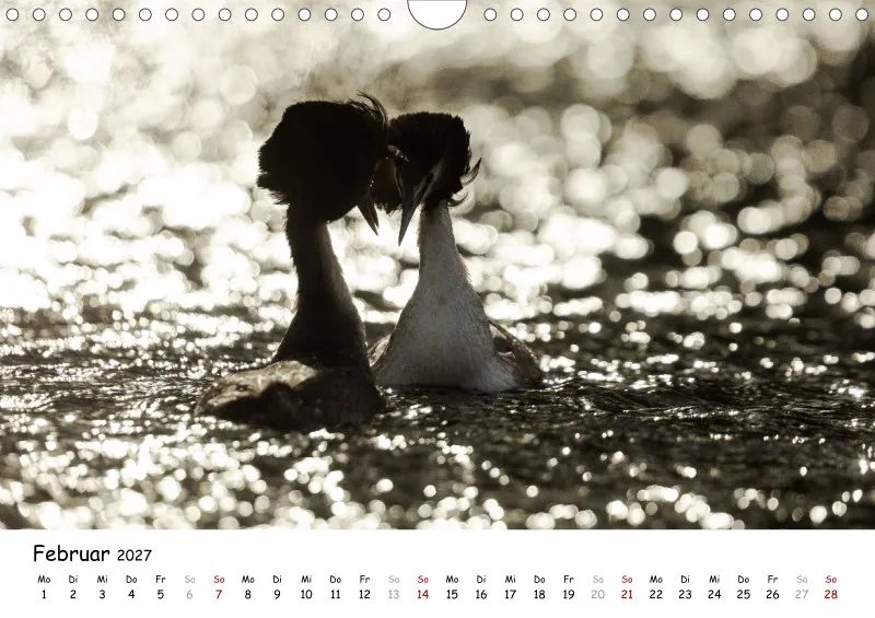 Naturfoto Kalender 2027 (A4)