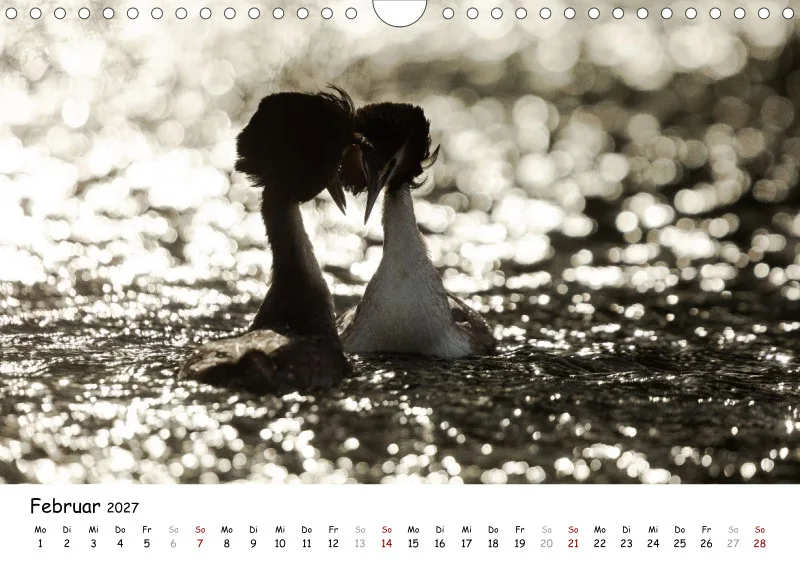 Naturfoto Kalender 2027 (A4)