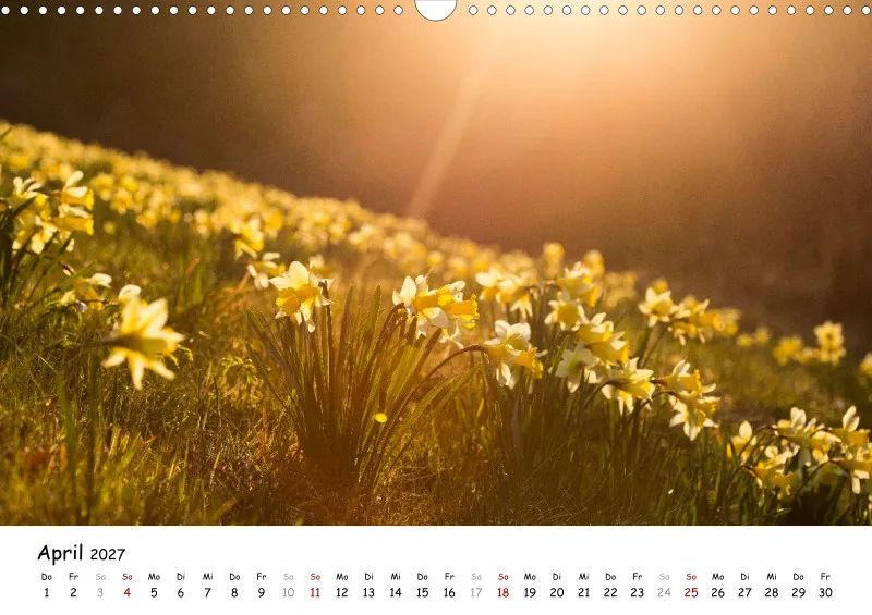 Naturfoto Kalender 2027 (A3)