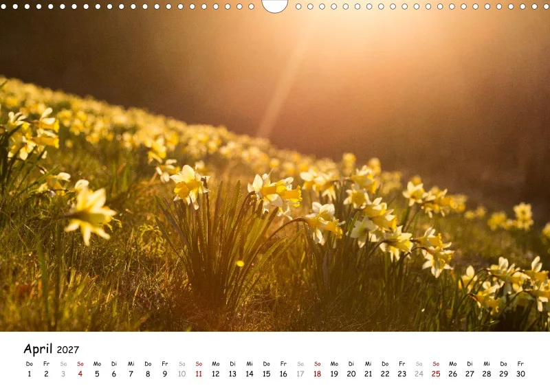 Naturfoto Kalender 2027 (A3)