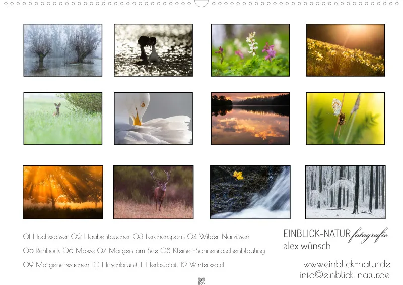 Naturfoto Kalender 2027 (A2)