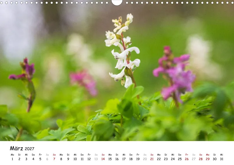 Naturfoto Kalender 2027 (A3)