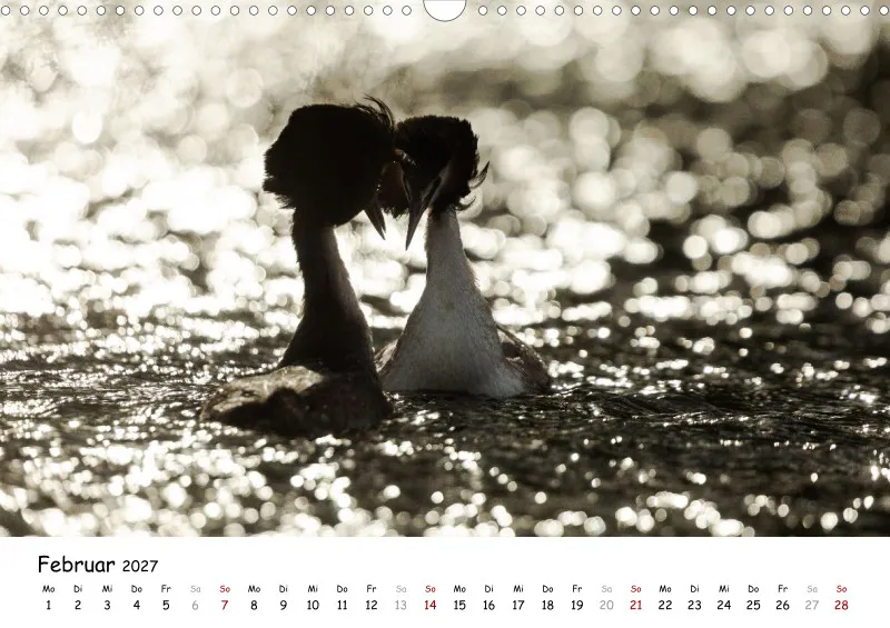 Naturfoto Kalender 2027 (A3)