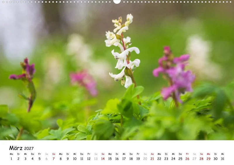 Naturfoto Kalender 2027 (A2)