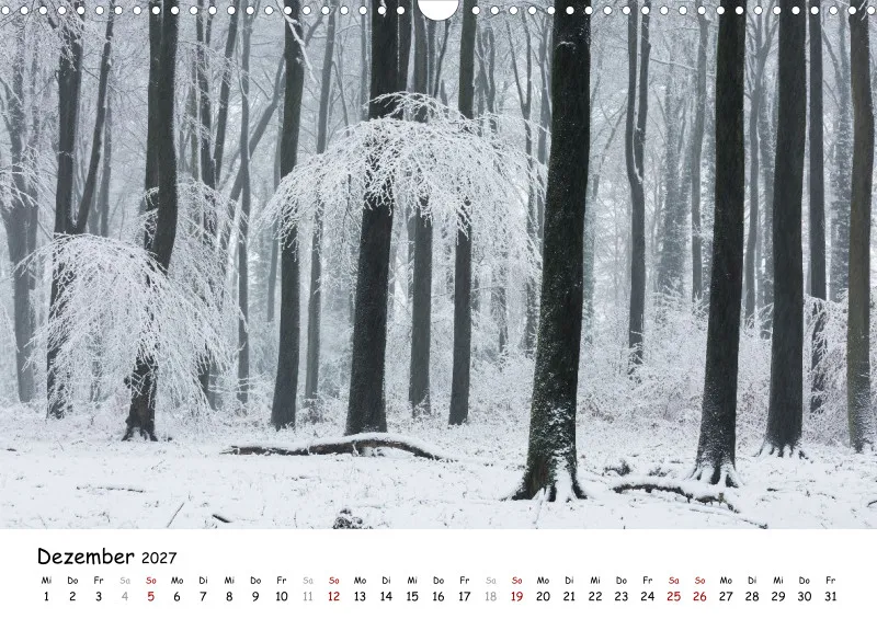 Naturfoto Kalender 2027 (A3)