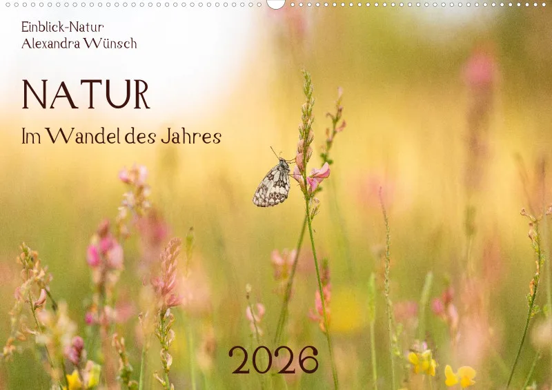 2026 -Im Wandel des Jahres (A2)