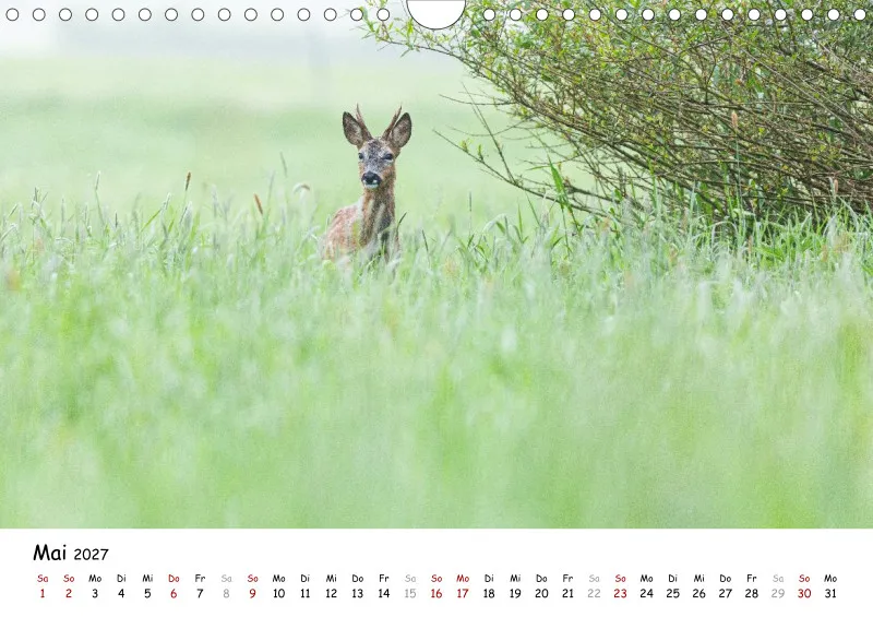 Naturfoto Kalender 2027 (A4)