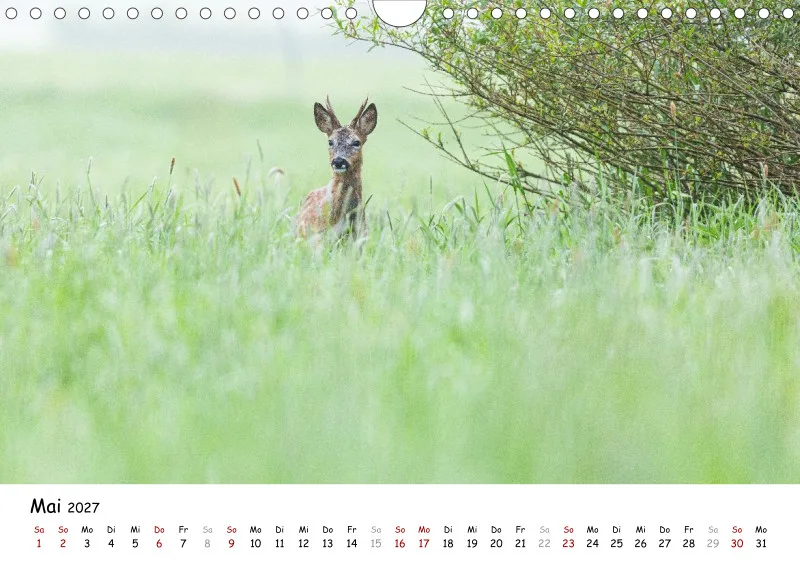 Naturfoto Kalender 2027 (A4)