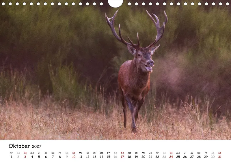Naturfoto Kalender 2027 (A4)