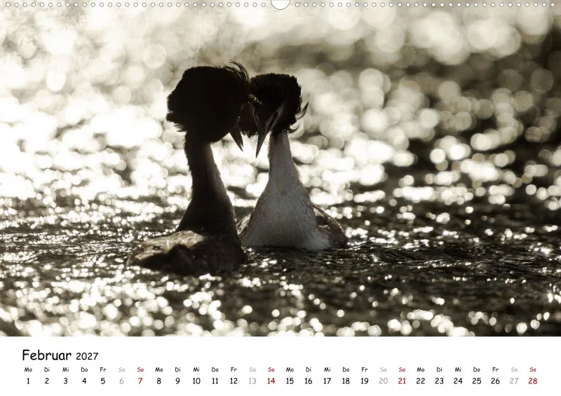 Naturfoto Kalender 2027 (A2)