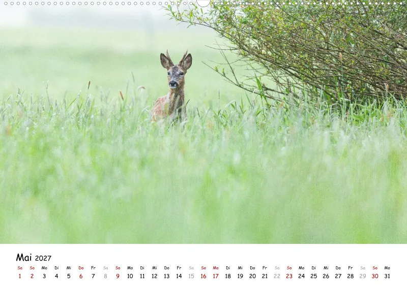 Naturfoto Kalender 2027 (A2)