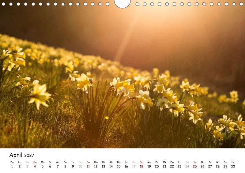 Naturfoto Kalender 2027 (A4)