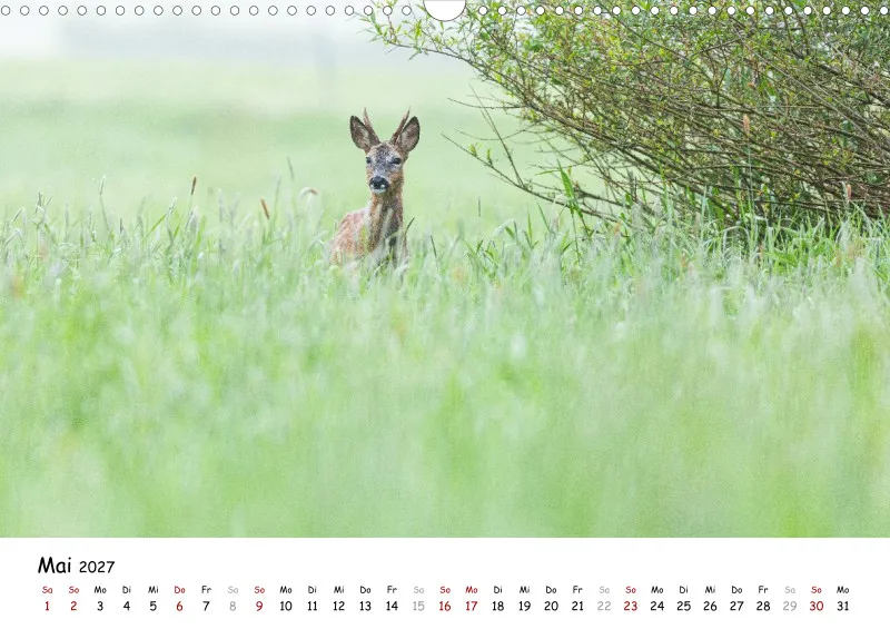 Naturfoto Kalender 2027 (A3)