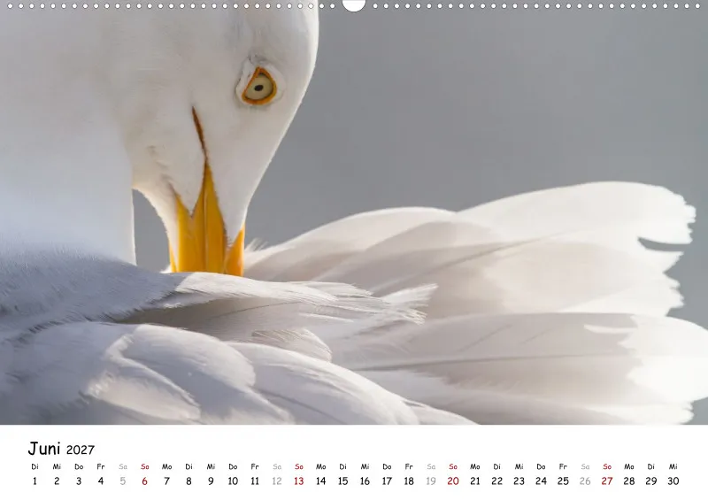 Naturfoto Kalender 2027 (A2)