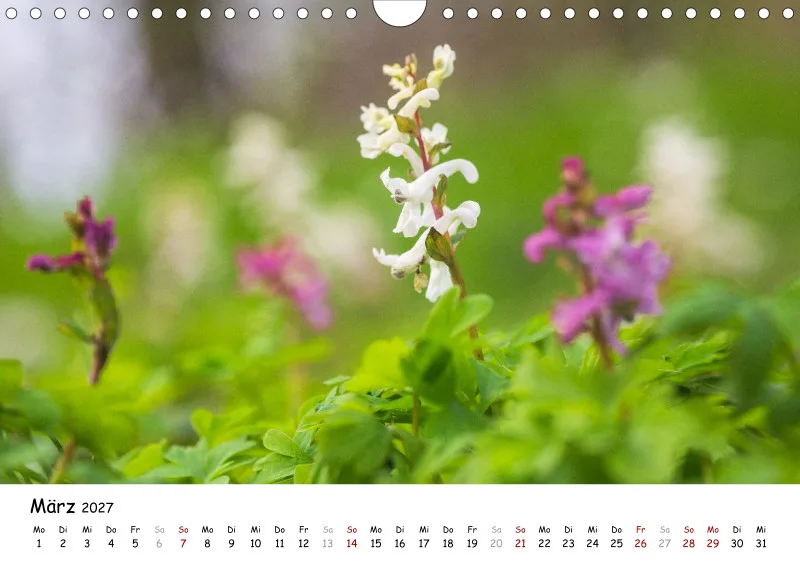 Naturfoto Kalender 2027 (A4)