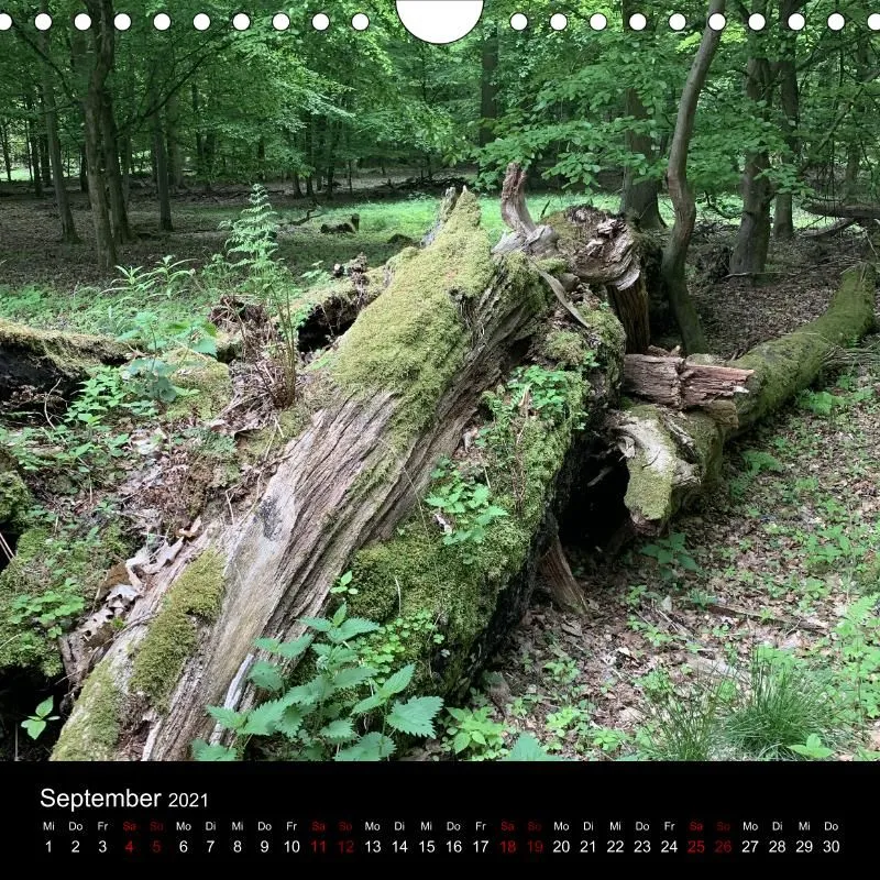 Kalender - Die Ecke kenn ich ja gar nicht