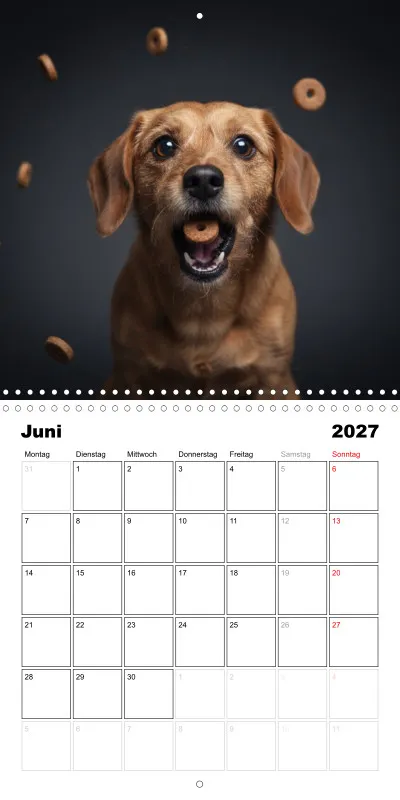 Benny - Kalender 2027